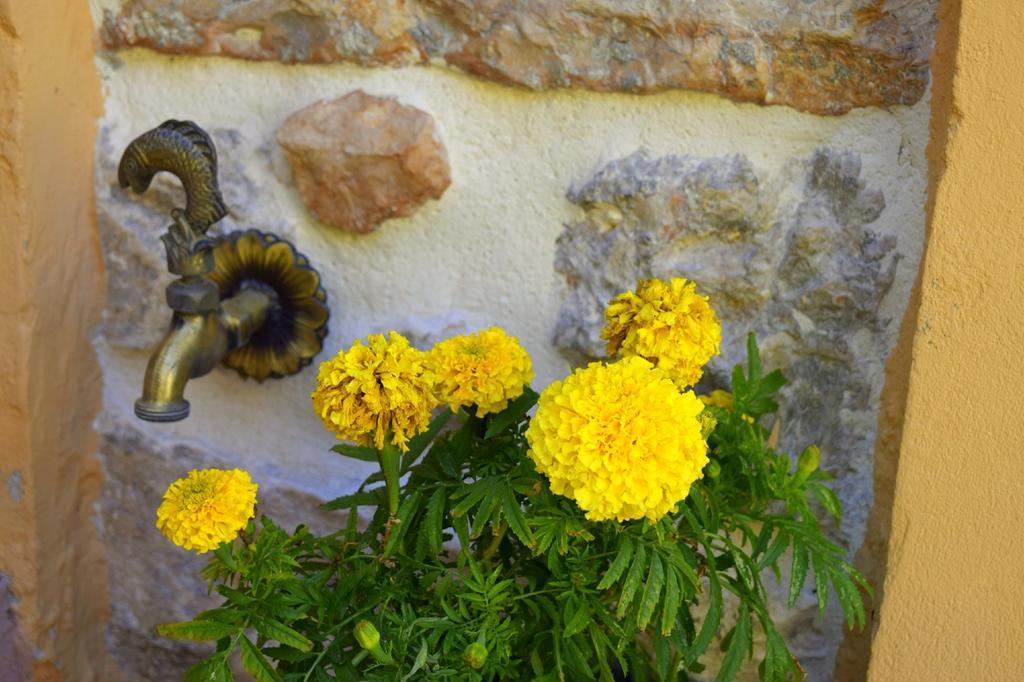 Tilemachos Traditional House Vathy  Extérieur photo